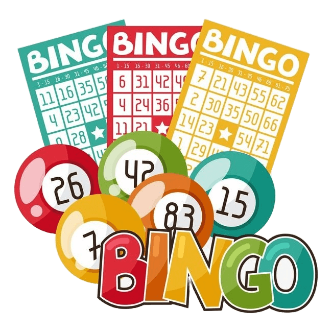 49jili-bingo